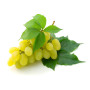 Ароматизатор Capella Flavors USA, Grape (Виноград), 5 мл
