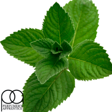 Ароматизатор Peppermint II (М'ята перцева), TPA USA, 1 мл Ароматизатор Peppermint II (М'ята перцева), TPA USA, 1 мл