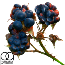 Ароматизатор Blueberry Wild (Чорниця дика), TPA USA, 5 мл Ароматизатор Blueberry Wild (Чорниця дика), TPA USA, 5 мл