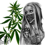 Ароматизатор Mary Jane (Трав'яний канабіс), TPA USA, 100 мл