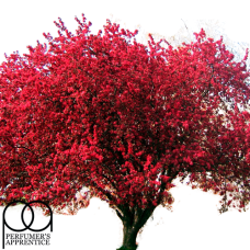 Ароматизатор Red Oak (Червоний дуб), TPA USA, 100 мл
