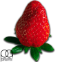 Ароматизатор Strawberry (Полуниця), TPA USA, 100 мл