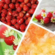 Ароматизатор Solub Arome, Fraise des Bois (Дика суниця), 5 мл