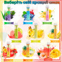 Одноразовая электронная сигарета OVNS Stawberry Banana 2200 Puffs 20mg