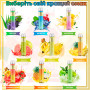 Одноразовая электронная сигарета OVNS Pineapple Ice 2200 Puffs 20mg