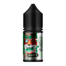 Харчовий ароматизатор In Bottle, Puzzle Spearmint, 12 мл